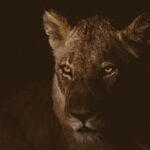 South Africa is an explorer’s paradise