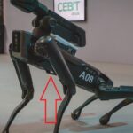 Come difendersi da un robot di Boston Dynamics Come difendersi da un robot di Boston Dynamics
