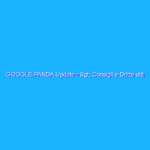 GOOGLE PANDA Update => Consigli e Dritte utili per i SEO