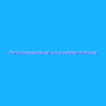 Per la promozione del suo e-commerce Piscine Laghetto si affida a noi