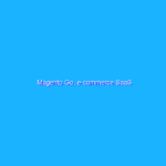 Magento Go, e-commerce SaaS