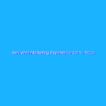 Seo Web Marketing Experience 2011 – Ecco com’e’ andata…