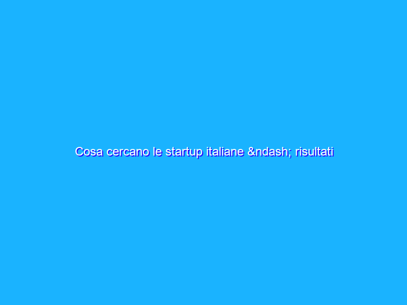 Cosa cercano le startup italiane – risultati della Survey 2011 “Startups in Italy. Facts&Trends”