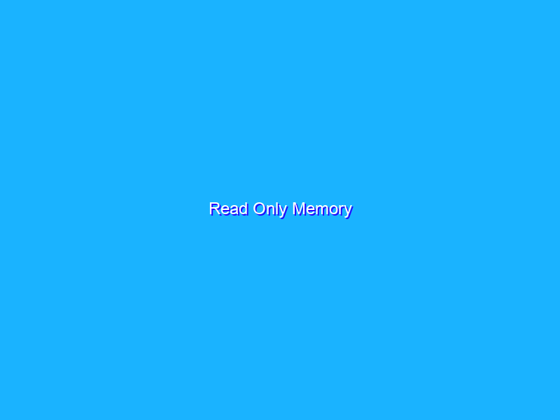 Read Only Memory