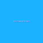 We chose not to build