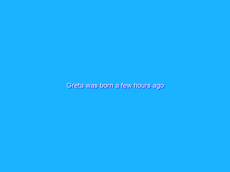 Greta was born a few hours ago