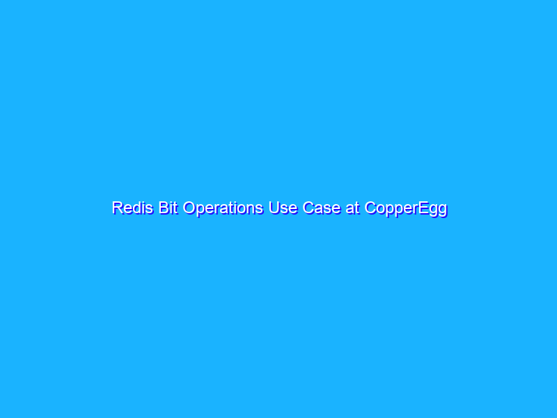 Redis Bit Operations Use Case at CopperEgg