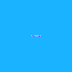Groopic