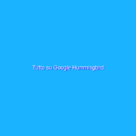 Tutto su Google Hummingbird