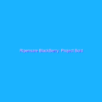 Ripensare BlackBerry: Project Bold