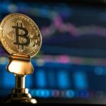 Cosa è realmente a favore il Bitcoin e qual è il suo futuro