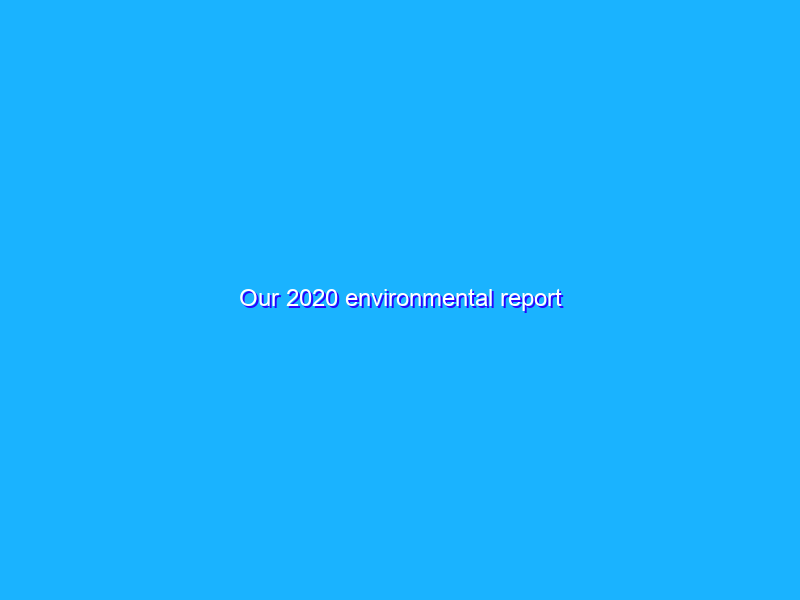 Our 2020 environmental report