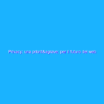 Privacy: una priorità per il futuro del web
