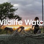 Samsung lancia Wildlife Watch, progetto di ranger virtuali contro il bracconaggio Samsung lancia Wildlife Watch, progetto di ranger virtuali contro il bracconaggio