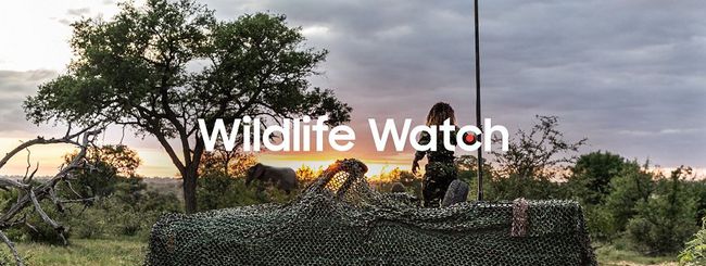 wildlife-watch-1