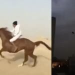 UAE e Dubai saranno il nuovo paradiso per l’arte NFT? UAE e Dubai saranno il nuovo paradiso per l’arte NFT?