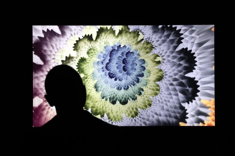 la-galleria-fisica-di-new-york-fa-conoscere-al-pubblico-larte-digitale-daily-sabah-daily-sabah-800x531-1