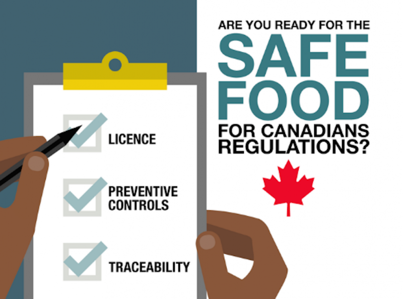 safety_food_linkedin-1-800x595-1