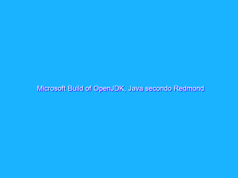 Microsoft Build of OpenJDK, Java secondo Redmond