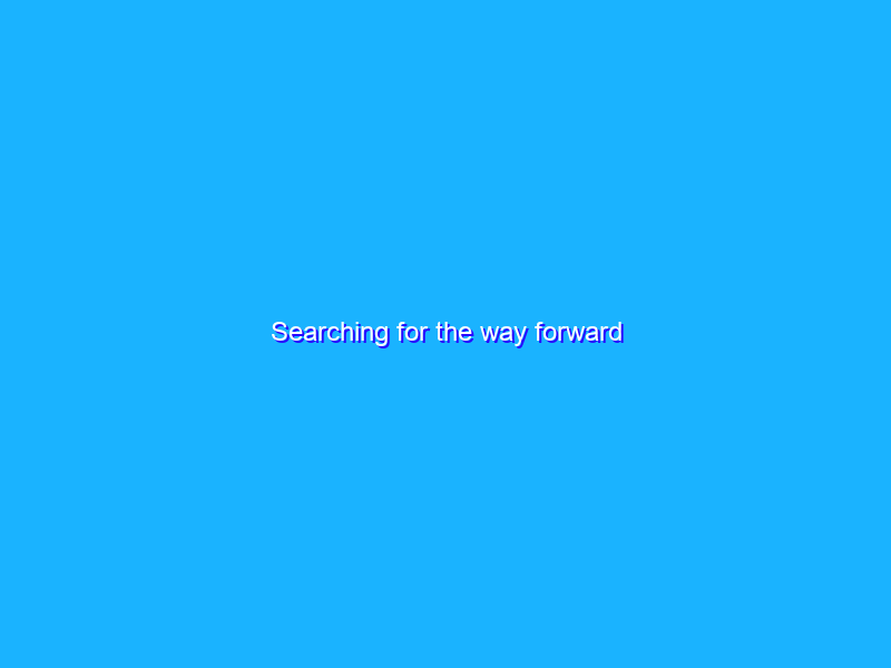 Searching for the way forward