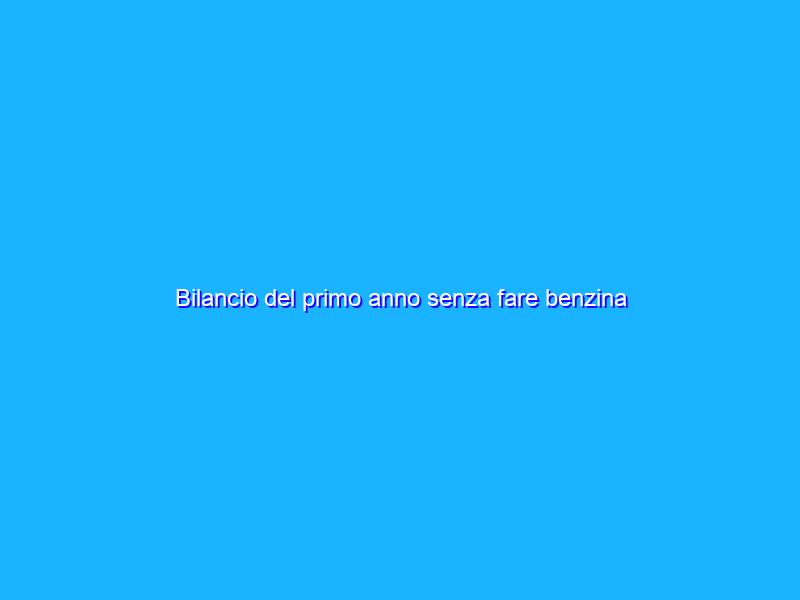 Bilancio del primo anno senza fare benzina