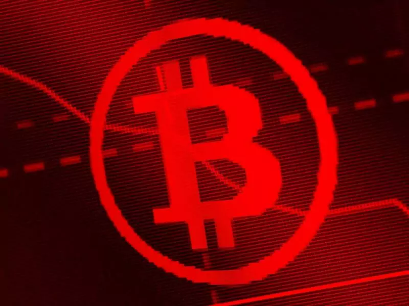 I Bitcoiners Non Sono Entusiasti Del Nuovo “Consiglio” di Elon Musk