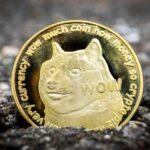 Il meme doge record NFT venduto per più di $ 4 milioni Il meme doge record NFT venduto per più di $ 4 milioni
