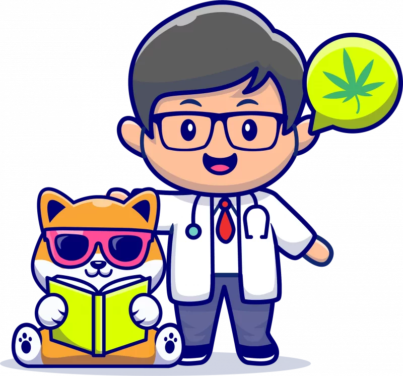 WWEDCOIN-MEDICAL-800x746-1