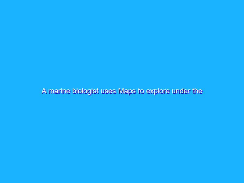 A marine biologist uses Maps to explore under the sea