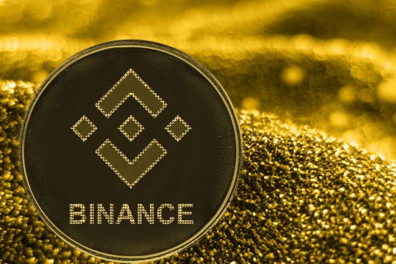 cosa-e-binance-coin-bnb-veramente-1-800x533-1