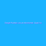 Google Fuchsia usa un microkernel. Qual è la differenza e perché è rilevante Google Fuchsia usa un microkernel. Qual è la differenza e perché è rilevante