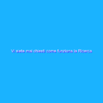 Vi siete mai chiesti come funziona la Ricerca Google? Vi siete mai chiesti come funziona la Ricerca Google?