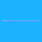 WhatsApp testa video e foto che scompaiono dopo la visualizzazione