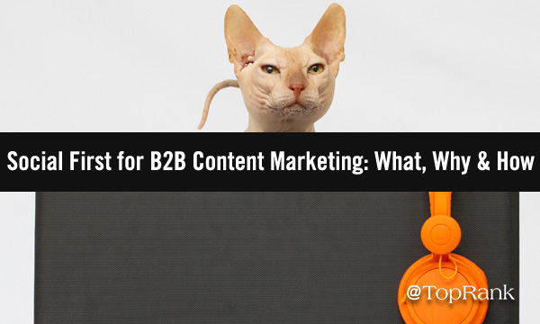 SocialFirstCatLaptopImageA600w