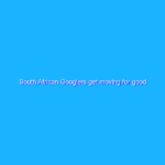 South African Googlers get moving for good