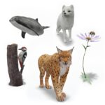 Bringing new life to Swedish endangered animals using AR