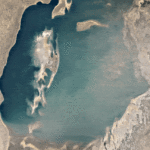 Helping companies tackle climate change with Earth Engine