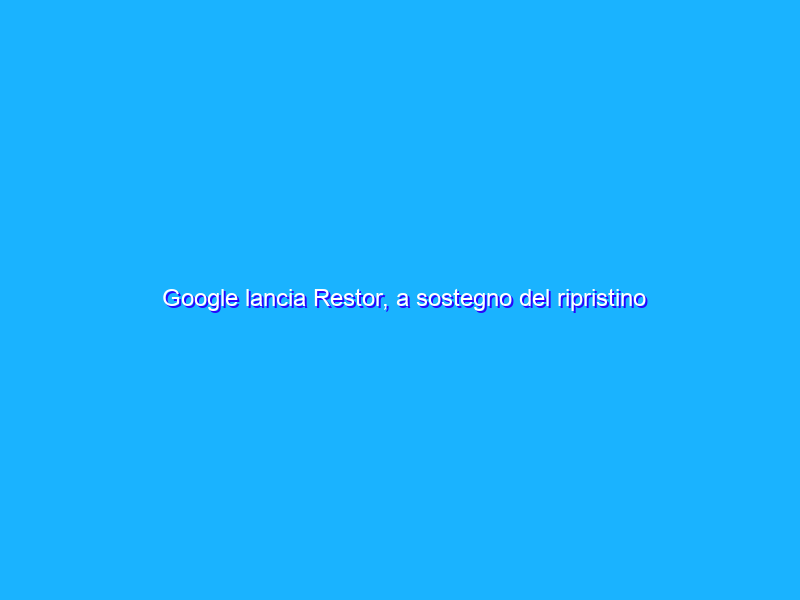 Google lancia Restor, a sostegno del ripristino degli ecosistemi