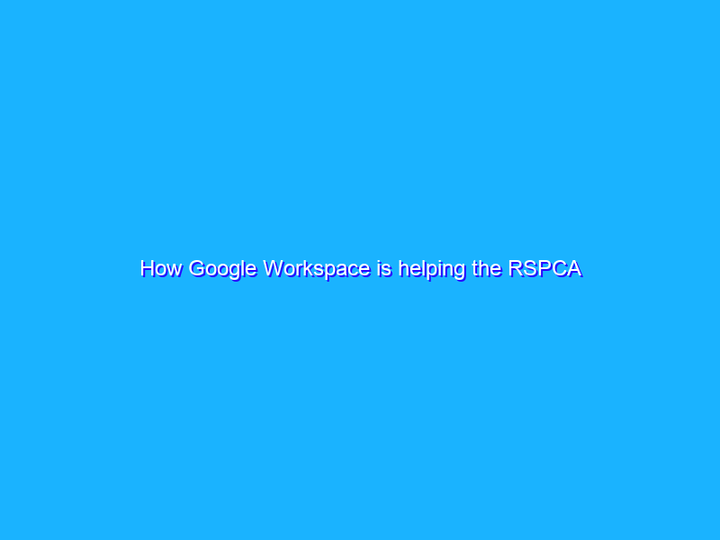 How Google Workspace is helping the RSPCA