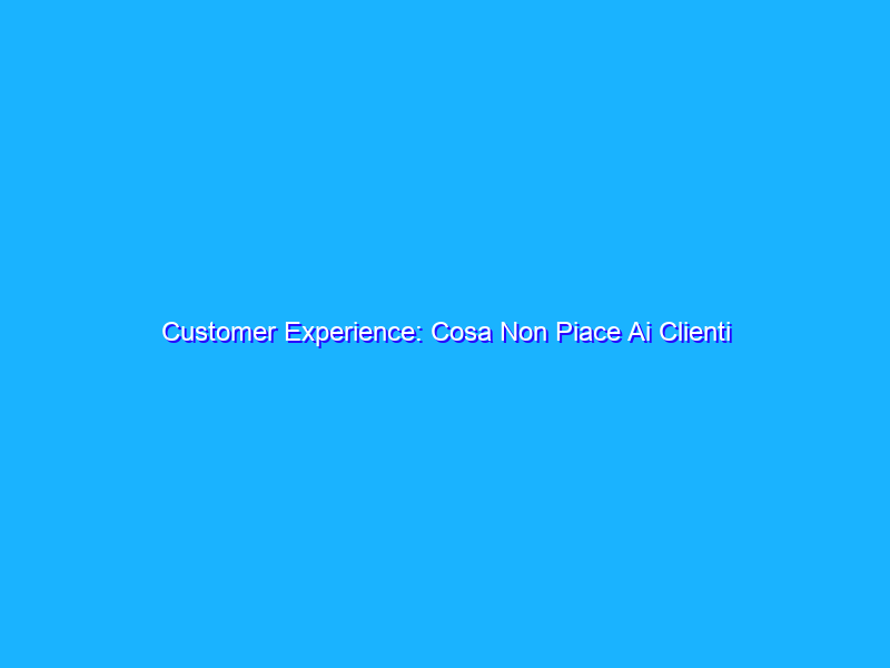 Customer Experience: Cosa Non Piace Ai Clienti Degli Ecommerce