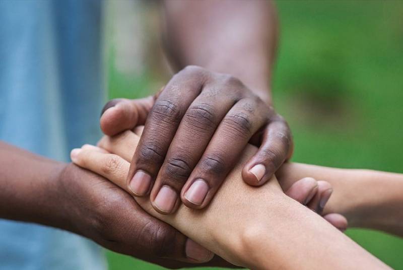 trustmeup-1-800x536-1