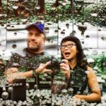 How these photographers built a strong web presence