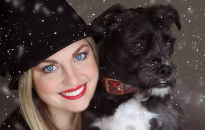 dog-g62a9d910b_1280-800x508-1