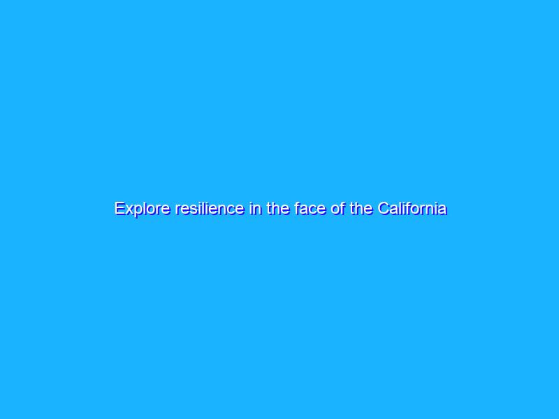 Explore resilience in the face of the California wildfires