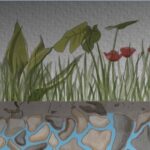 AERA. Il Rotary sostiene la Giornata mondiale dell’Acqua