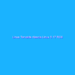 Linus Torvalds rilascia Linux 5.17 RC6