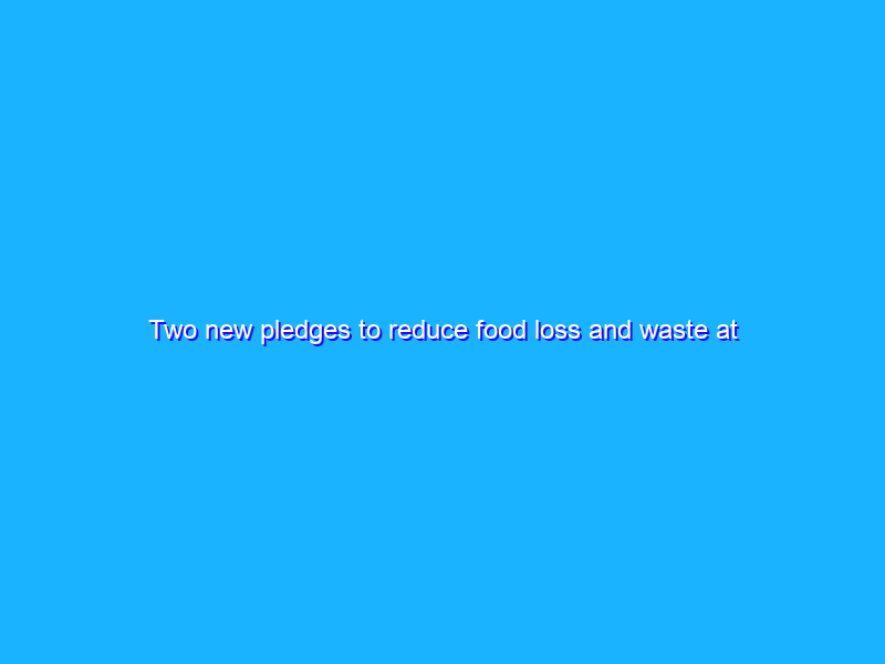 Two new pledges to reduce food loss and waste at Google