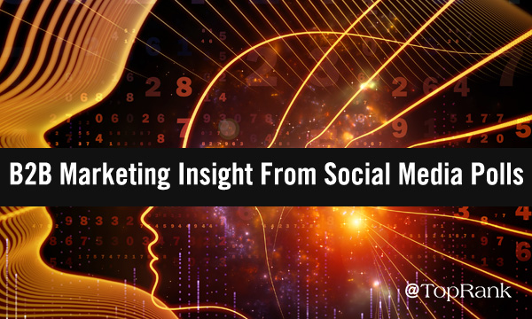 b2b-marketing-insight-from-social-media-polls-imageA600w