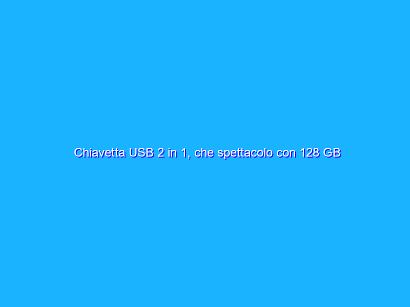 Chiavetta USB 2 in 1, che spettacolo con 128 GB di spazio