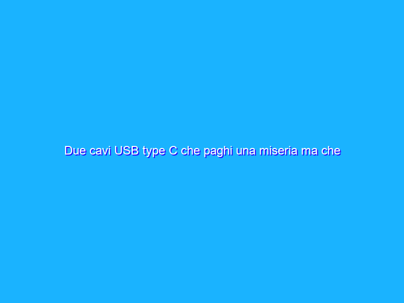 Due cavi USB type C che paghi una miseria ma che qualità!